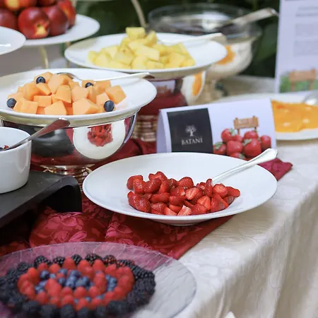 Отель Grand Gallia 4*