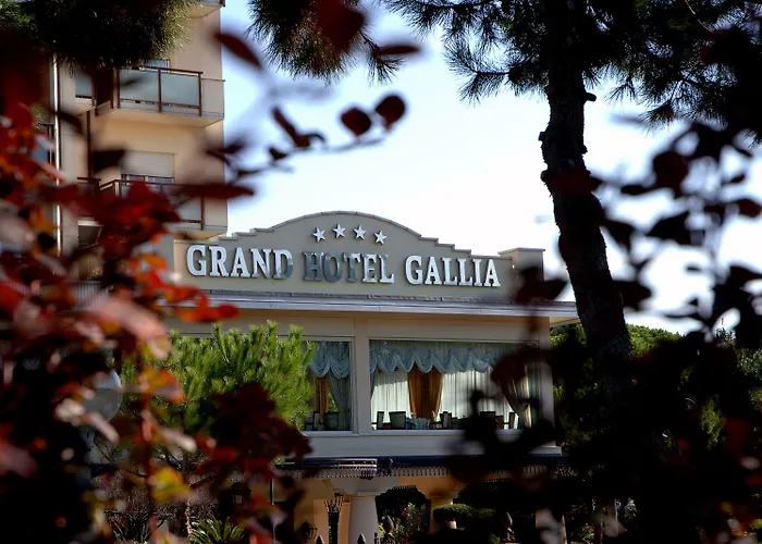 Grand Gallia Hotel 4*